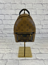 Load image into Gallery viewer, Louis Vuitton Reverse Monogram Mini Palm Springs Backpack
