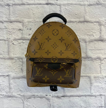 Load image into Gallery viewer, Louis Vuitton Reverse Monogram Mini Palm Springs Backpack
