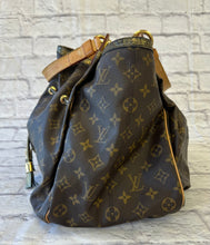 Load image into Gallery viewer, Louis Vuitton Limited Edition Monogram Canvas Irene

