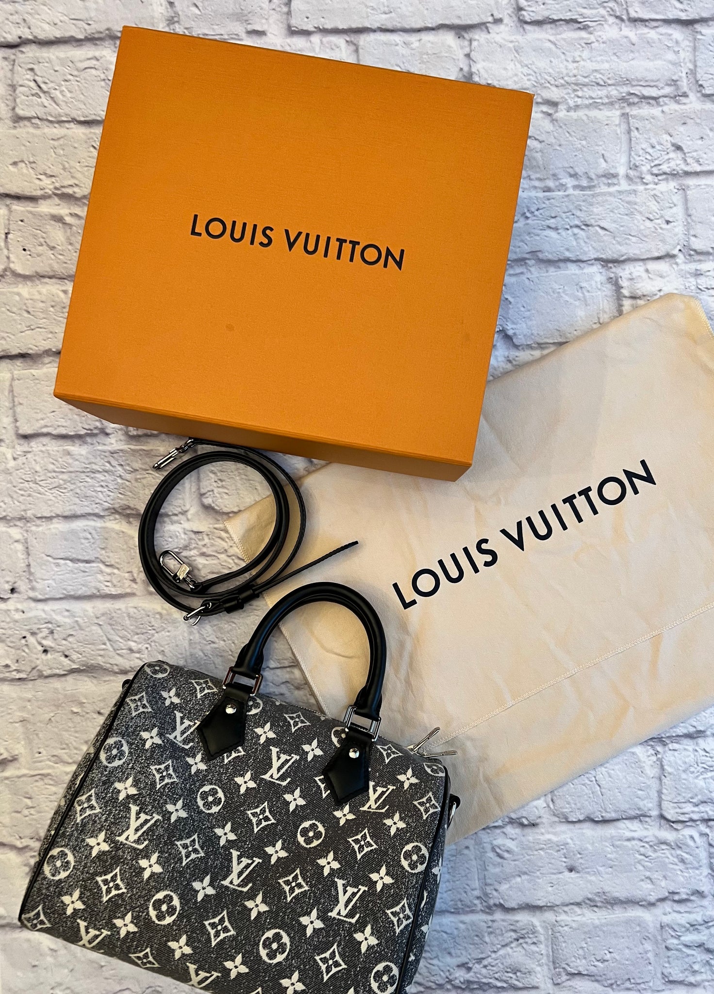 Louis Vuitton Denim Ombre Speedy 25