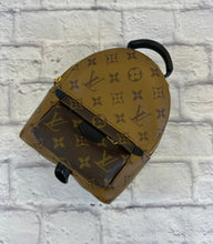 Load image into Gallery viewer, Louis Vuitton Reverse Monogram Mini Palm Springs Backpack
